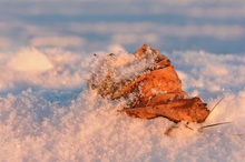 Die schöne Seite des Winters