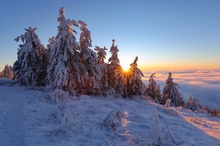 Winterzauber auf der Hornisgrinde