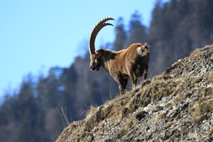 Blick zurück