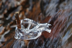 Eisschnecke am Stiel