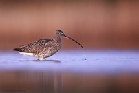 Nach Sonnenuntergang ...