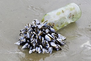 Was Flaschen alles so können......