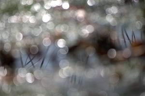 Lichtreflexe am Teich...