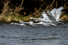 Familienausflug