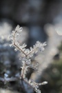 Kleiner Rückfall in den Winter