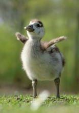 So groß bin ich schon!