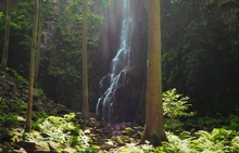 Kleiner Wasserfall im Schwarzwald