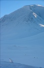 einsames Schneehuhn