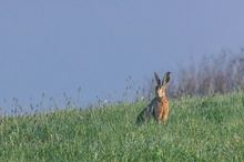 Alles im Blick