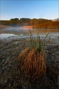 Morgendunst