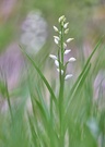 Versteckt