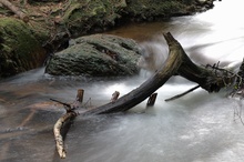 Stein, Holz und Wasser oder Statik und Bewegung