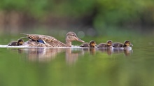 Familienausflug