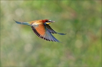 *im Vorbeiflug...*