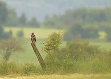 warten bis zum umfallen