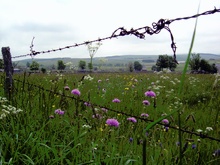 Aubrac Frankreich ND