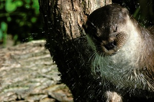 Zo Lüneburger Heide