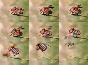 ... und ab gehts ...