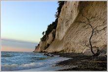 Kreidefelsen, Rügen, Nationalpark Jasmund 2