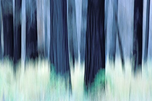 Waldbrand