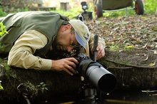 Nutriafotografie...