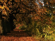 Herbstimpressionen ND