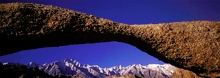 Lone Pine Arch
