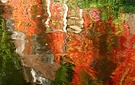 Spiegelung auf dem Weiher