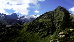 Venediger Gruppe, Österreich