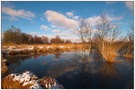 Winterliche Moorlandschaft