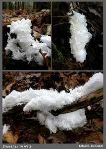 Eisgebilde im Wald