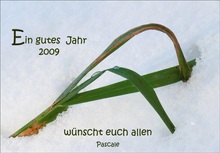 Ein gutes neues Jahr