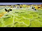 Das Dallol