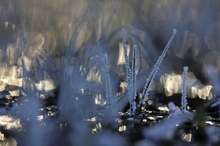 Bühne der Eislichter