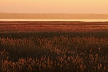 Abend am Bodden