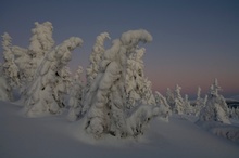 Schneegeister kurz nach Sonnenuntergang