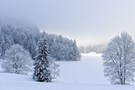 Nebel am Obersee II