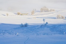 Licht und Schatten und Nebel