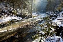 Polenztal im Vorfrühling