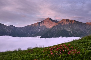 Das Nebelmeer