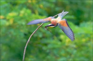 *Abflug*
