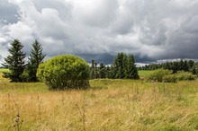 Vor dem Regen