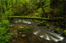 Der Alfbach in der Strohner Schweiz