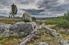 Nordische Landschaft