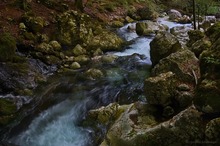 In der Schlucht