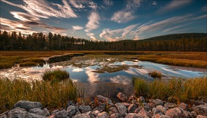 Moorlandschaft