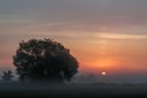 Ein Sonnenaufgang mit leichtem Nebel ....