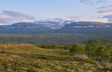 Juninacht Øvre-Dividal-Nationalpark 1