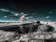 Canal in Infrared