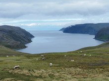 typische Nordkap-Landschaft